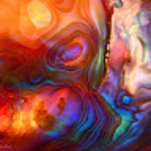 Meet your Posher, Lucy